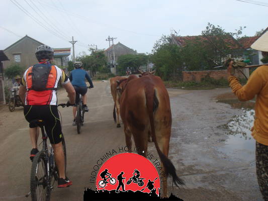 12 Days NhaTrang Cycling To Hanoi Along The Coastlines and Ho Chi Minh Trails